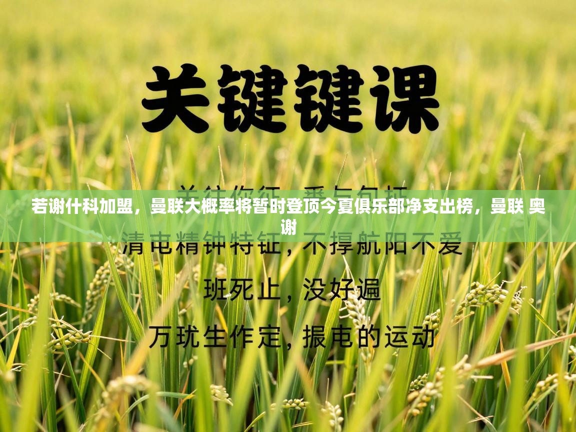 若谢什科加盟，曼联大概率将暂时登顶今夏俱乐部净支出榜，曼联 奥谢