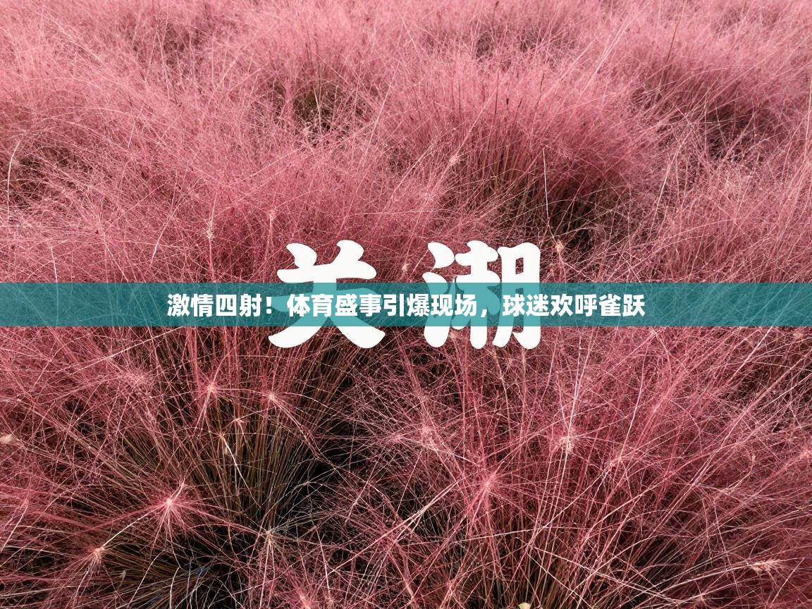 激情四射！体育盛事引爆现场，球迷欢呼雀跃