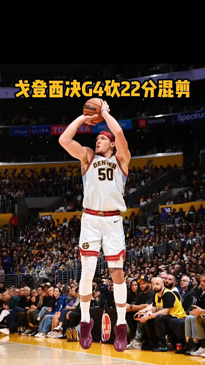 戈登绝杀封盖漫天：猛龙篮板爆破